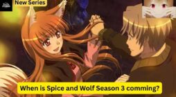 Will There Be Spice And Wolf Season 3? (Updated in 2024)