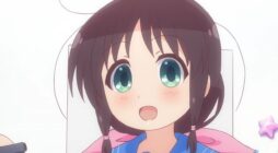 Fecomic: Stella no Mahou - Tổng quan về series Anime